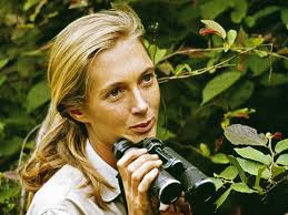 Jane Goodall Foudation